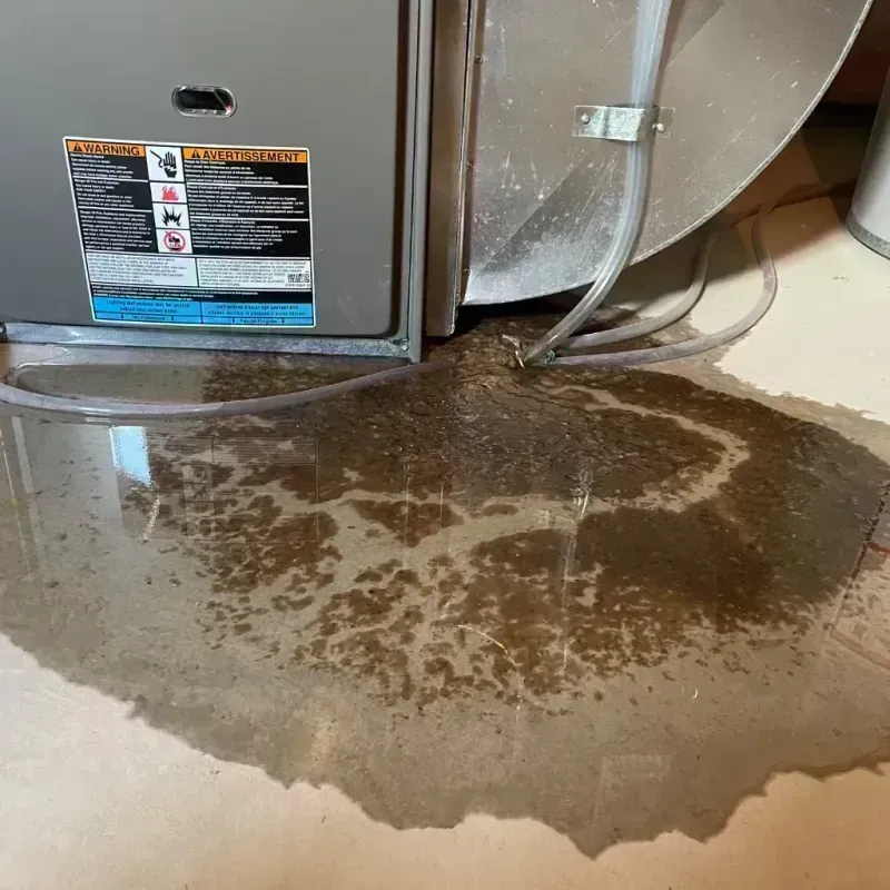 Appliance Leak Cleanup in Chillicothe, OH